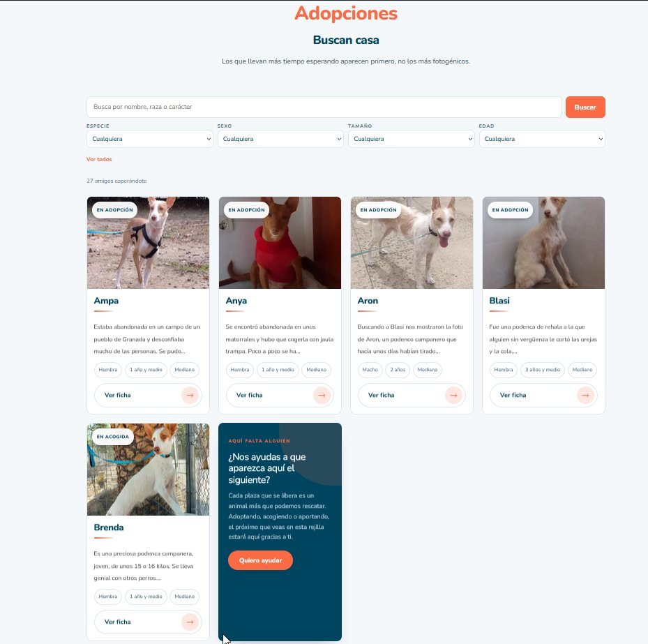 Listado público de animales en adopción con buscador y filtros