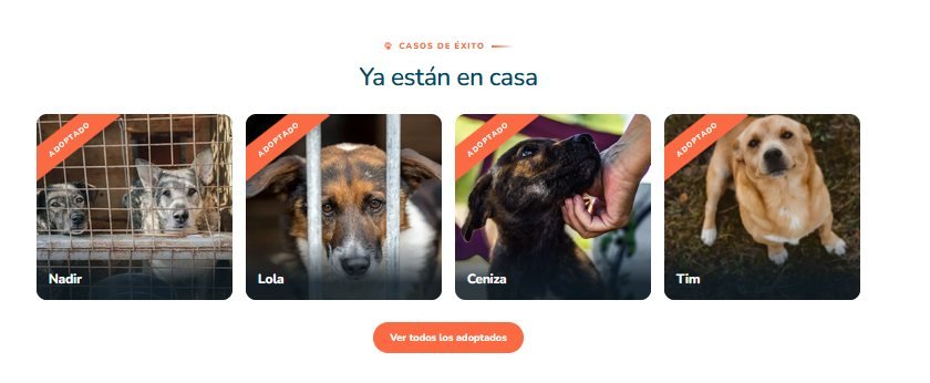 Rejilla de animales adoptados con la cinta de adoptado